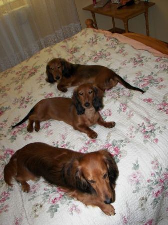 Z mam� i siostr� na zas�u�onym miejscu!